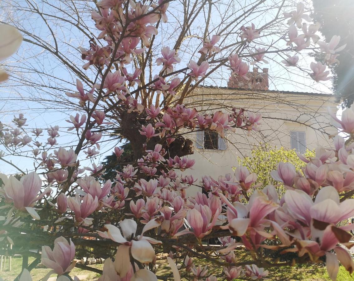 Maison Tuscany Bed&Breakfast Sinalunga Exterior foto